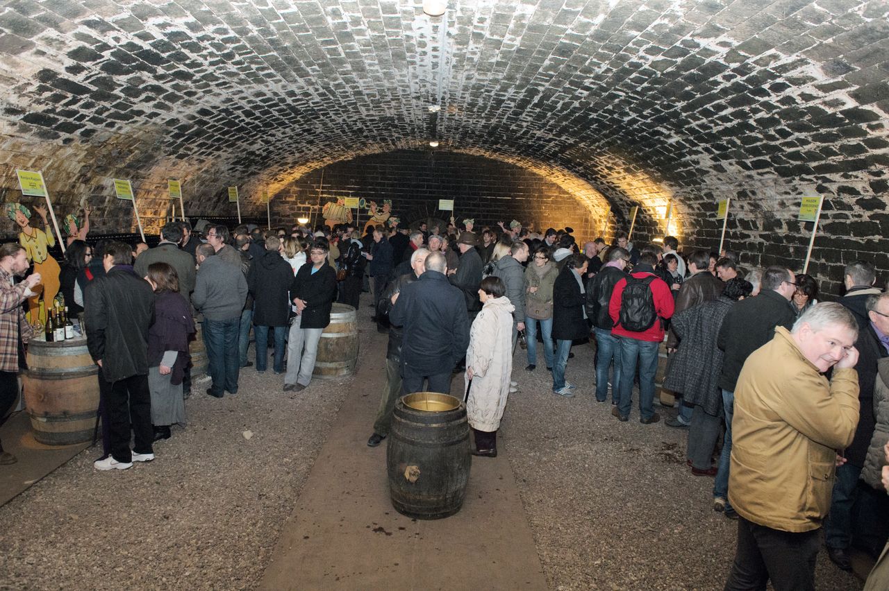 Evenements Nez dans le vert 8054